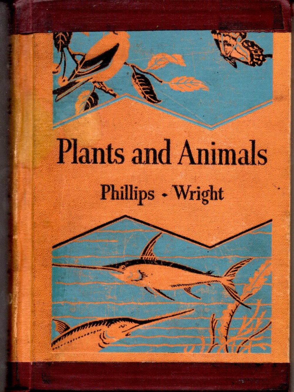 Vintage 1936 Elementary School Science Book